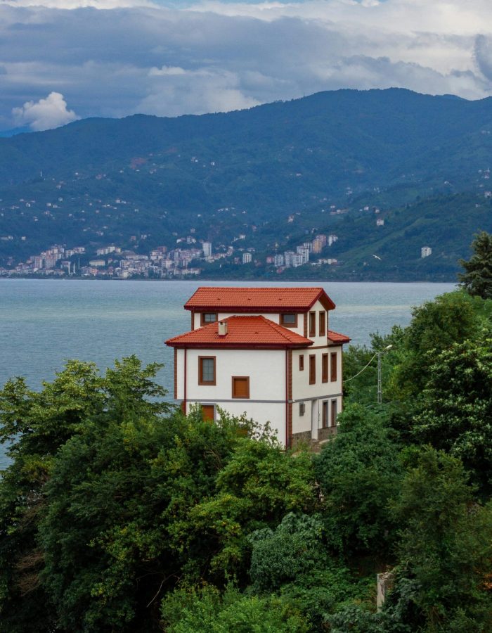 pexels-bedirdalbay-26894214